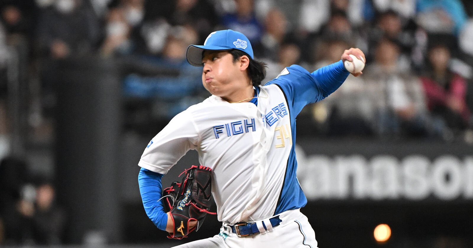 Mizuki Hori